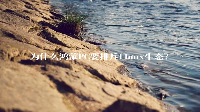 为什么鸿蒙PC要排斥Linux生态？