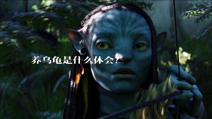 养乌龟是什么体会？