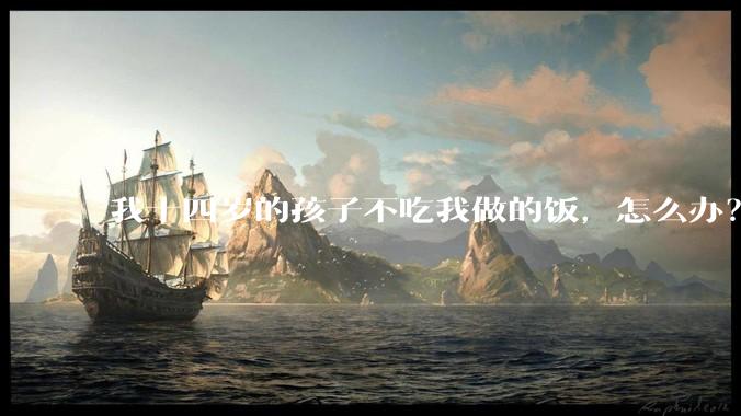 我十四岁的孩子不吃我做的饭，怎么办？