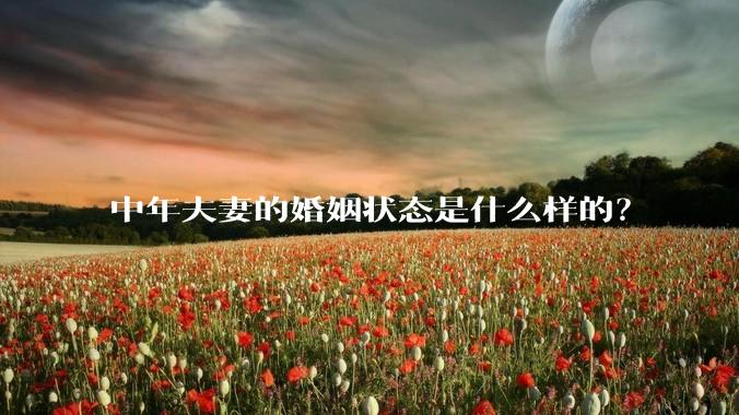 中年夫妻的婚姻状态是什么样的？