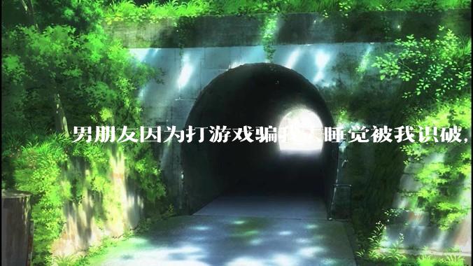 男朋友因为打游戏骗我去睡觉被我识破，然后我提了分手，他同意了，问问男孩子们他怎么想的？