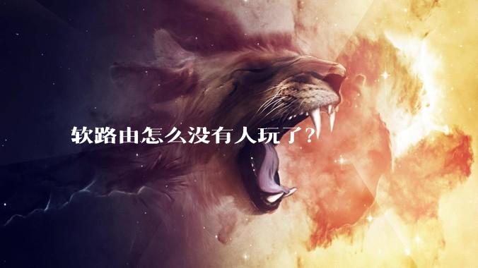 软路由怎么没有人玩了？