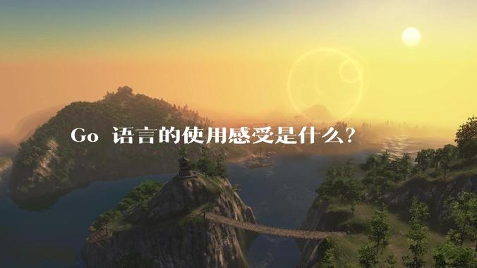 Go 语言的使用感受是什么？