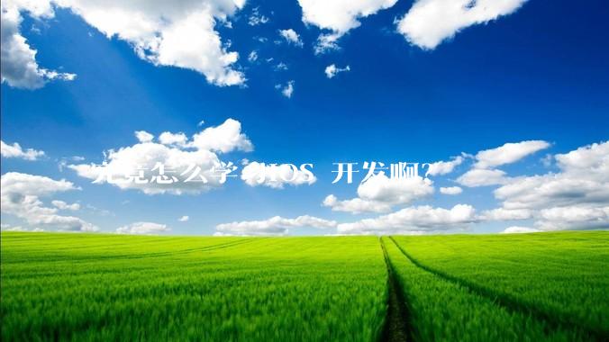 究竟怎么学习IOS 开发啊？